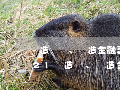 偽造、變造金融票證罪立案標準_2021偽造、變造金融票證罪量刑標準和認定構成要件
